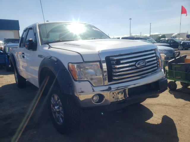 FORD F150 SUPER 2010 with VIN 1FTFX1EV1AFD20233 - Photo from auction