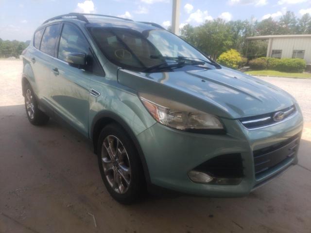 FORD ESCAPE SEL 2013 with VIN 1FMCU0HX3DUC85080 - Photo from auction