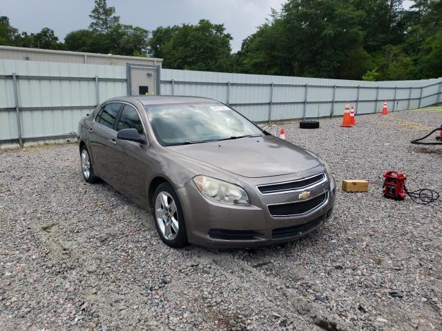 CHEVROLET MALIBU LS 2010 with VIN 1G1ZA5E00AF178475 - Photo from auction