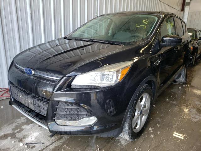 Photo 2 from auction – 2014 FORD ESCAPE SE with VIN 1FMCU0GXXEUE40291