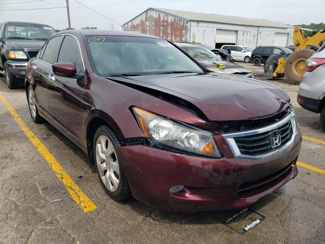 HONDA ACCORD EXL 2010 with VIN 5KBCP3F81AB007440 - Photo from auction