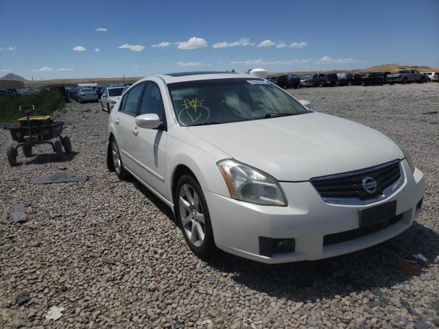 NISSAN MAXIMA SE 2007 with VIN 1N4BA41E37C831160 - Photo from auction