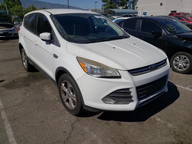 FORD ESCAPE SE 2013 with VIN 1FMCU0GX8DUB71304 - Photo from auction