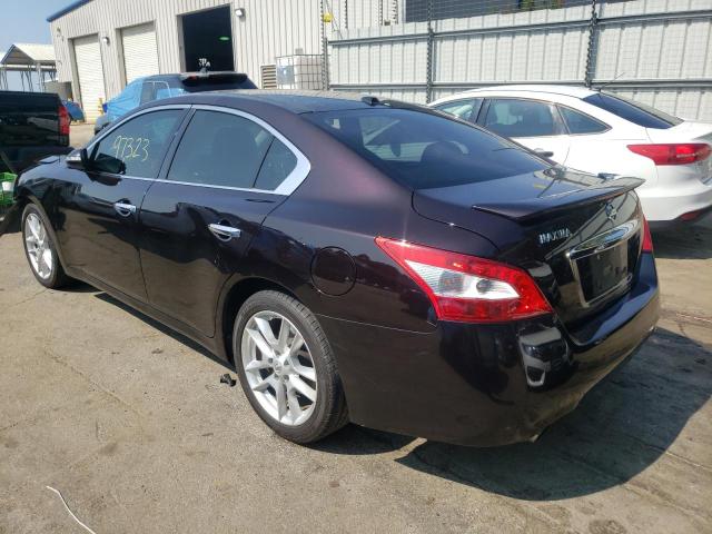 Photo 3 from auction – 2010 NISSAN MAXIMA S with VIN 1N4AA5AP1AC852289