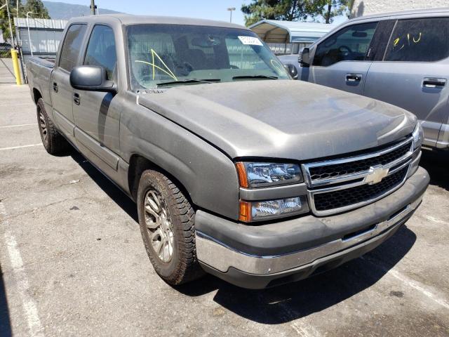 CHEVROLET SILVERADO 2006 with VIN 2GCEC13T361166602 - Photo from auction