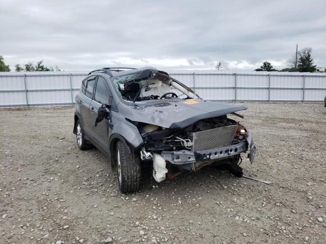 FORD ESCAPE SEL 2013 with VIN 1FMCU9H91DUC42752 - Photo from auction