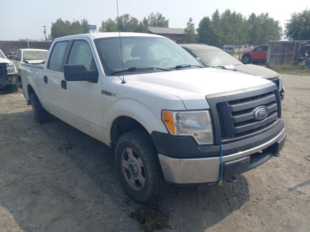 Photo 1 from auction – 2010 FORD F150 SUPER with VIN 1FTFW1E83AFA39600