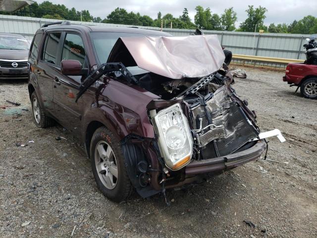 HONDA PILOT EXL 2009 with VIN 5FNYF48599B053156 - Photo from auction