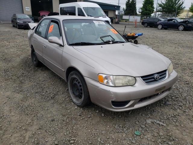 TOYOTA COROLLA CE 2001 with VIN 1NXBR12E51Z504367 - Photo from auction
