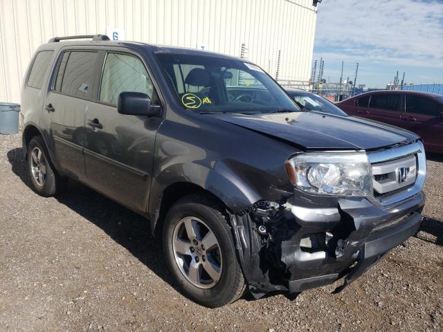 HONDA PILOT LX 2011 with VIN 5FNYF4H20BB502686 - Photo from auction