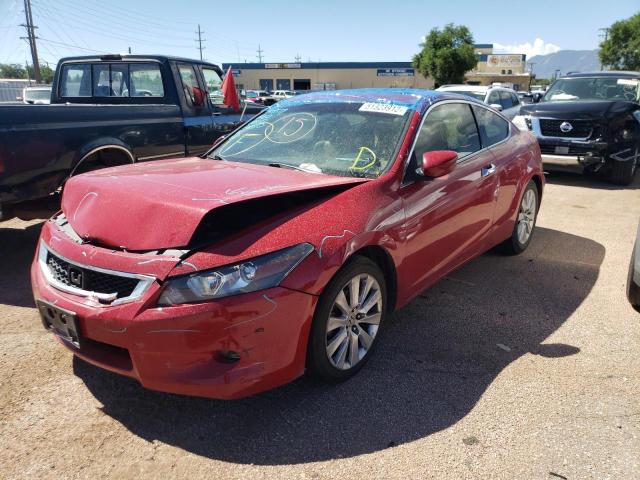 Photo 2 from auction – 2010 HONDA ACCORD EXL with VIN 1HGCS2B85AA001521