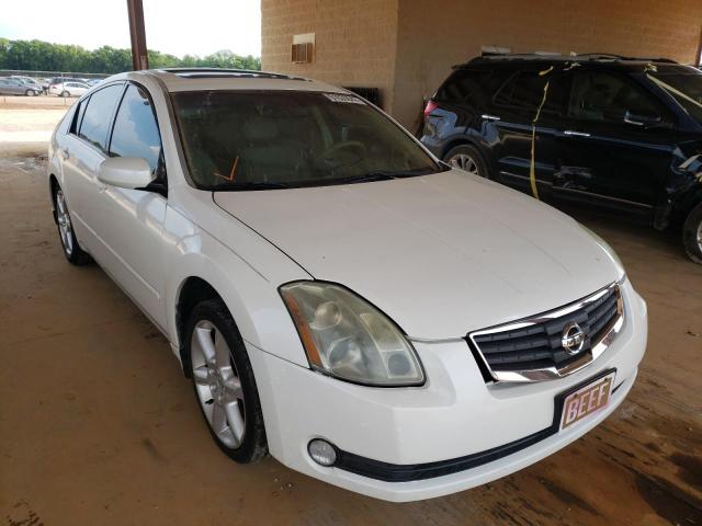 NISSAN MAXIMA SE 2004 with VIN 1N4BA41E24C889806 - Photo from auction