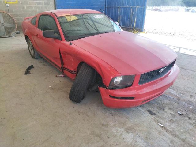FORD MUSTANG 2006 with VIN 1ZVFT80NX65250348 - Photo from auction