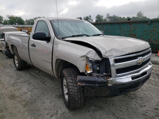 CHEVROLET SILVERADO 2007 with VIN 1GCEC14XX7Z618555 - Photo from auction