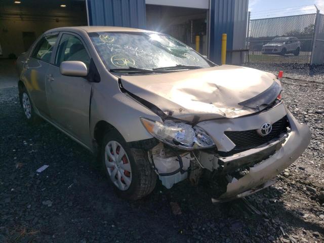 TOYOTA COROLLA BA 2010 with VIN 2T1BU4EE6AC218122 - Photo from auction