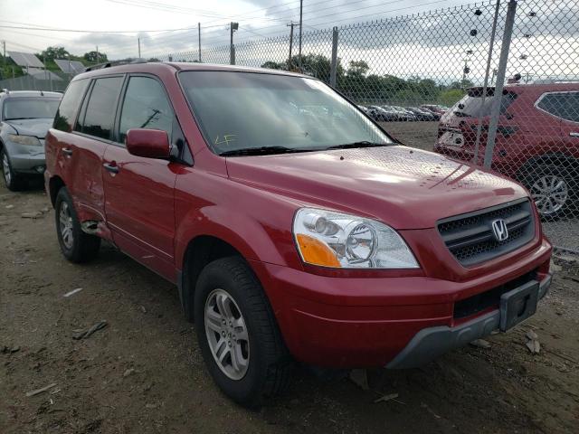 HONDA PILOT EX 2003 with VIN 2HKYF18453H599600 - Photo from auction