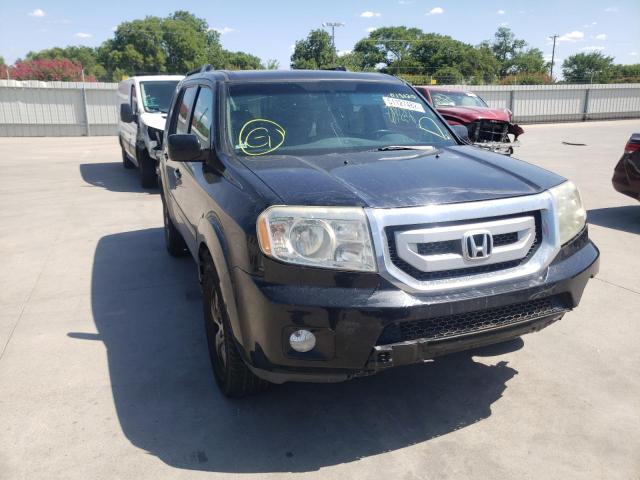 HONDA PILOT EXL 2010 with VIN 5FNYF4H60AB018020 - Photo from auction