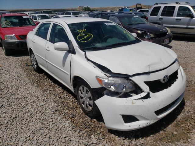 TOYOTA COROLLA BA 2010 with VIN 2T1BU4EE5AC261771 - Photo from auction