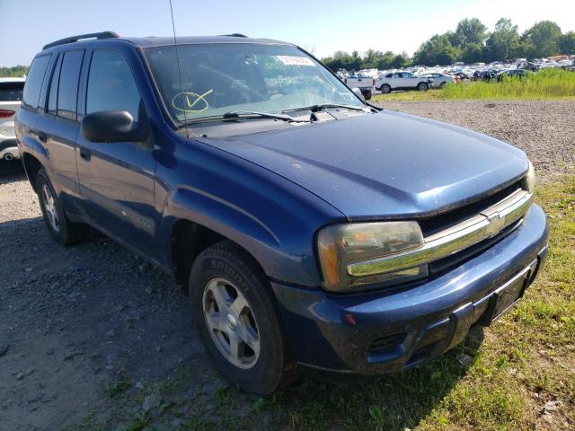 CHEVROLET TRAILBLAZE 2004 with VIN 1GNDT13S242403183 - Photo from auction