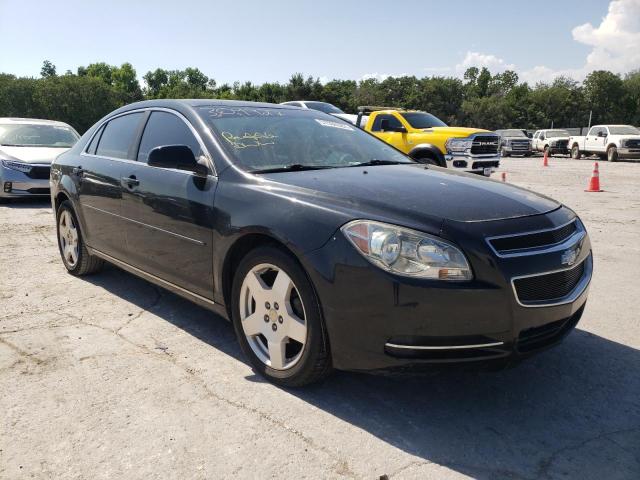 CHEVROLET MALIBU 2LT 2010 with VIN 1G1ZD5E72AF309927 - Photo from auction
