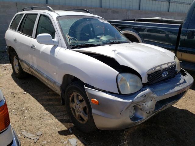 HYUNDAI SANTA FE 2003 with VIN KM8SC73E33U497506 - Photo from auction