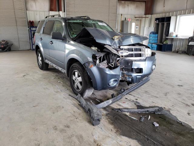 FORD ESCAPE XLT 2010 with VIN 1FMCU9DG2AKC81314 - Photo from auction