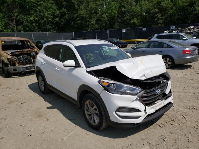 HYUNDAI TUCSON LIM 2016 with VIN KM8J33A46GU106868 - Photo from auction