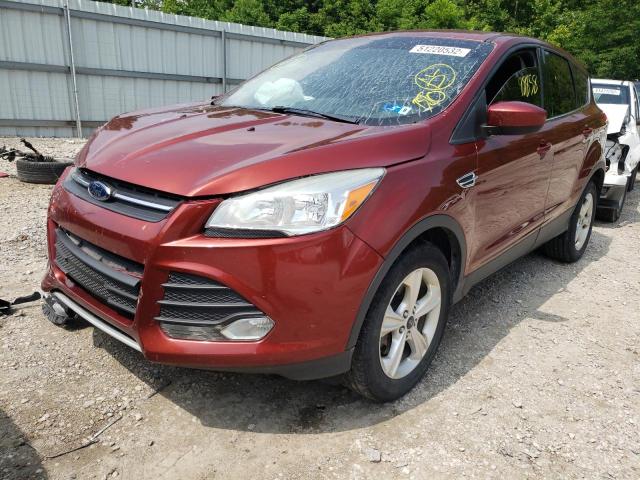 Photo 2 from auction – 2014 FORD ESCAPE SE with VIN 1FMCU9GX7EUD71144