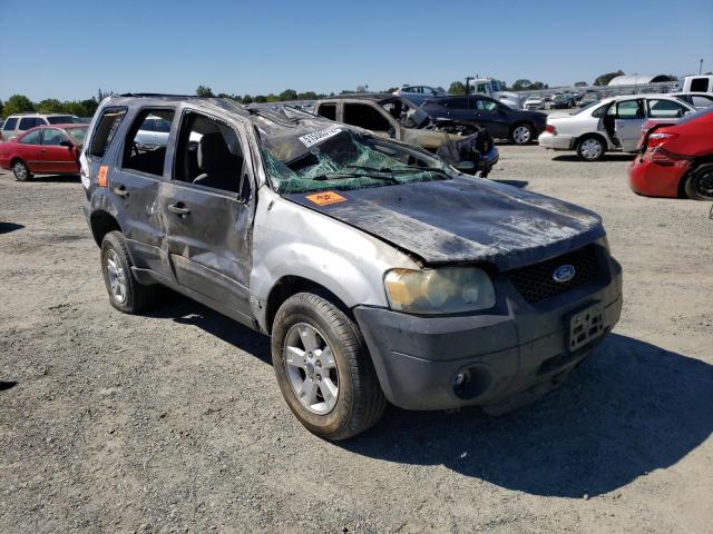 Photo 1 from auction – 2005 FORD ESCAPE XLT with VIN 1FMYU03145KB63138