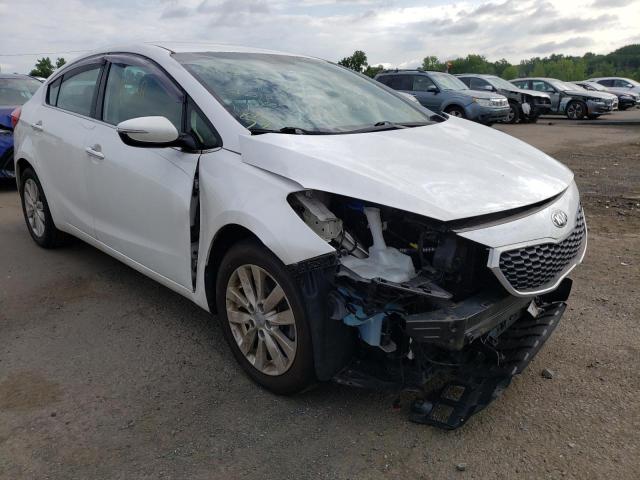 KIA FORTE EX 2014 with VIN KNAFX4A82E5120505 - Photo from auction