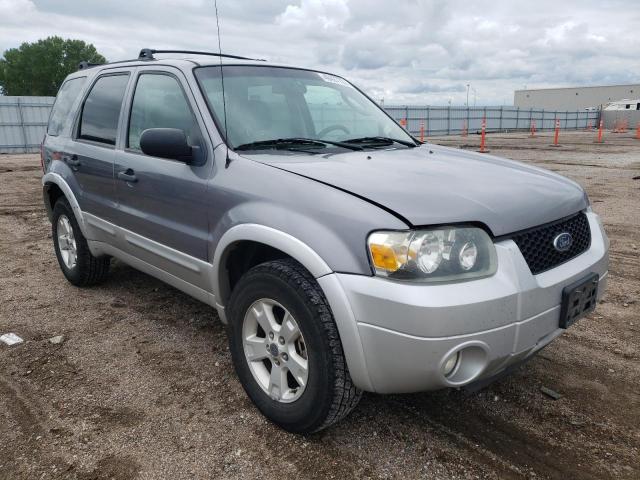 FORD ESCAPE XLT 2007 with VIN 1FMYU93137KB08557 - Photo from auction