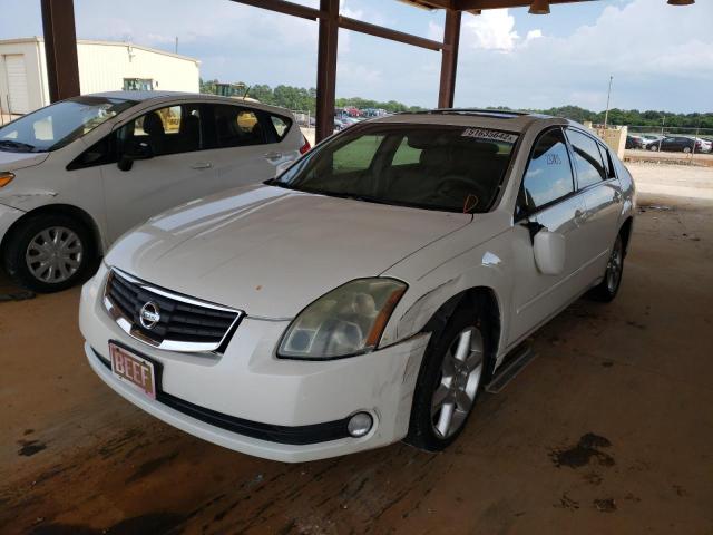 Photo 2 from auction – 2004 NISSAN MAXIMA SE with VIN 1N4BA41E24C889806