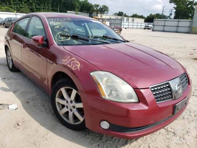 NISSAN MAXIMA SE 2004 with VIN 1N4BA41E54C913208 - Photo from auction