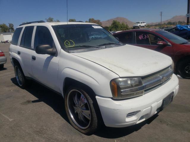 CHEVROLET TRAILBLAZE 2004 with VIN 1GNDT13S142236556 - Photo from auction