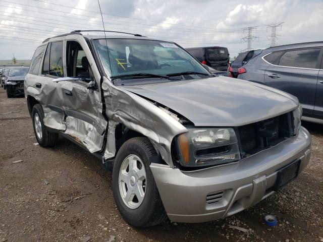 CHEVROLET TRAILBLAZE 2003 with VIN 1GNDS13S332114959 - Photo from auction