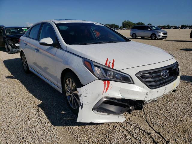 HYUNDAI SONATA SPO 2016 with VIN 5NPE34AF2GH344109 - Photo from auction