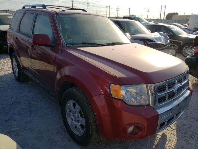 FORD ESCAPE LIM 2011 with VIN 1FMCU0EG6BKB72303 - Photo from auction