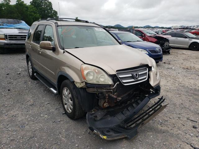 HONDA CR-V SE 2006 with VIN JHLRD78936C034113 - Photo from auction