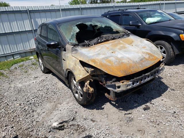 FORD ESCAPE SE 2014 with VIN 1FMCU9GX2EUC48691 - Photo from auction