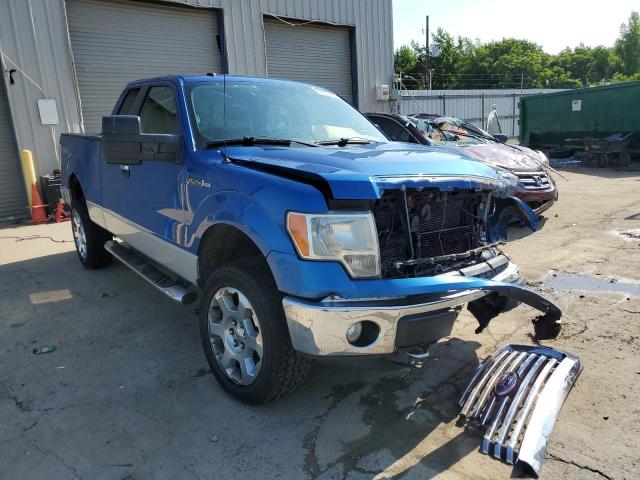FORD F150 SUPER 2010 with VIN 1FTFX1EV3AFA95555 - Photo from auction