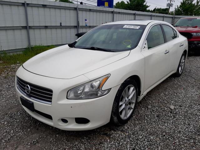 Photo 2 from auction – 2009 NISSAN MAXIMA S with VIN 1N4AA51E39C841773