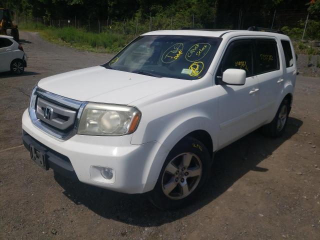 Photo 2 from auction – 2009 HONDA PILOT EXL with VIN 5FNYF48679B028510