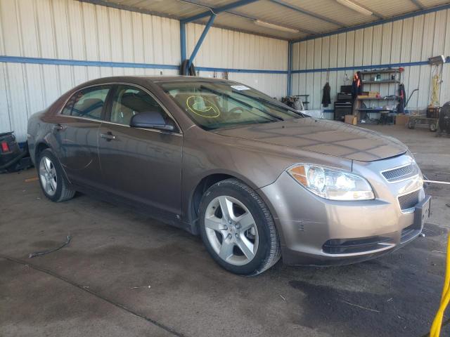 CHEVROLET MALIBU LS 2010 with VIN 1G1ZB5EB7AF109409 - Photo from auction