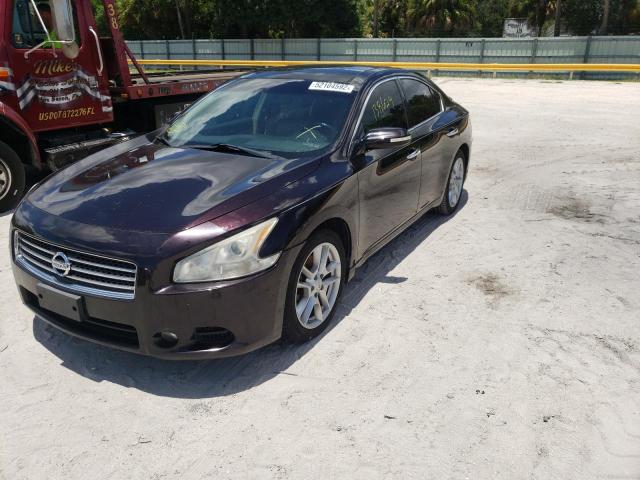 Photo 2 from auction – 2010 NISSAN MAXIMA S with VIN 1N4AA5AP9AC853304