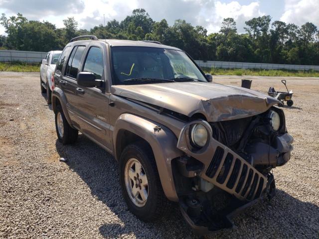 JEEP LIBERTY LI 2002 with VIN 1J4GL58K42W145254 - Photo from auction