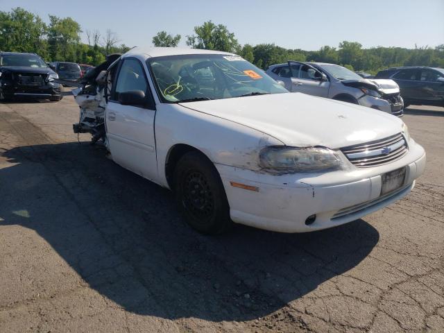 CHEVROLET MALIBU 2001 with VIN 1G1ND52J316229437 - Photo from auction