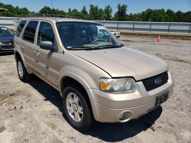 FORD ESCAPE 2007 with VIN 1FMYU04177KB75608 - Photo from auction