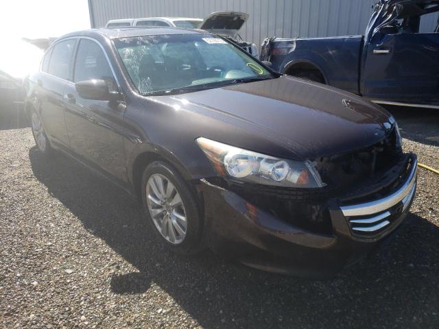 HONDA ACCORD EXL 2011 with VIN 1HGCP2F82BA113237 - Photo from auction