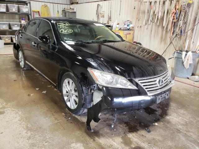 Photo 1 from auction – 2010 LEXUS ES 350 with VIN JTHBK1EG6A2342779