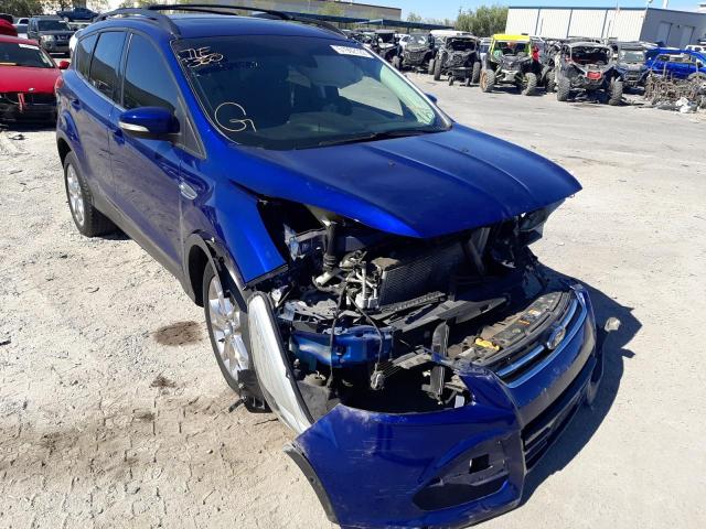 FORD ESCAPE SEL 2013 with VIN 1FMCU0HX7DUC15839 - Photo from auction